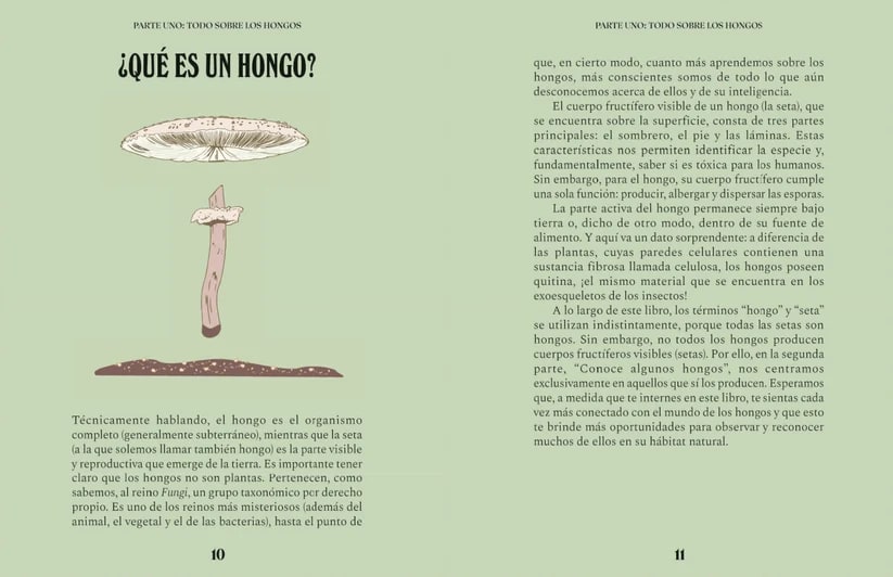 UNA GUÍA PARA CURIOSOS: HONGOS2