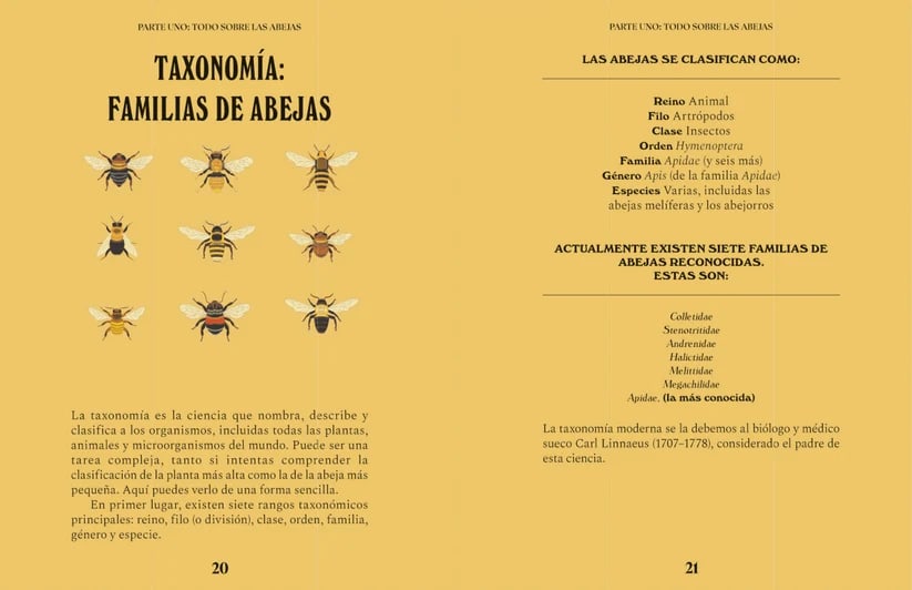 UNA GUÍA PARA CURIOSOS: ABEJAS2