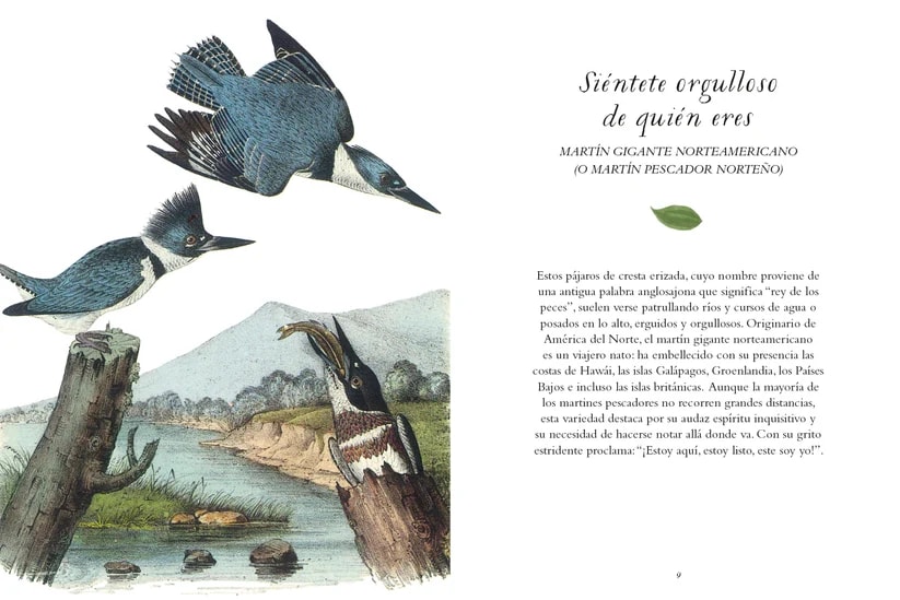 LA SABIDURÍA DE LAS AVES3