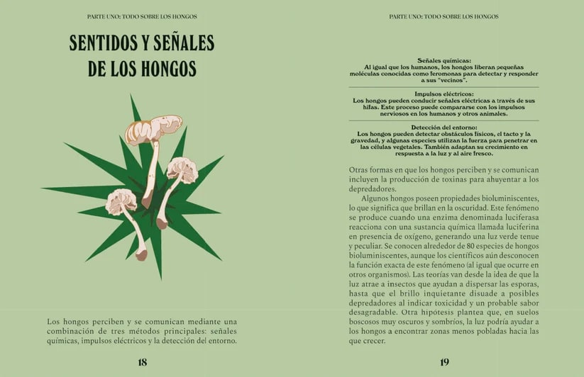 UNA GUÍA PARA CURIOSOS: HONGOS3