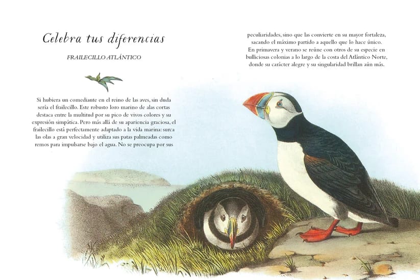 LA SABIDURÍA DE LAS AVES4
