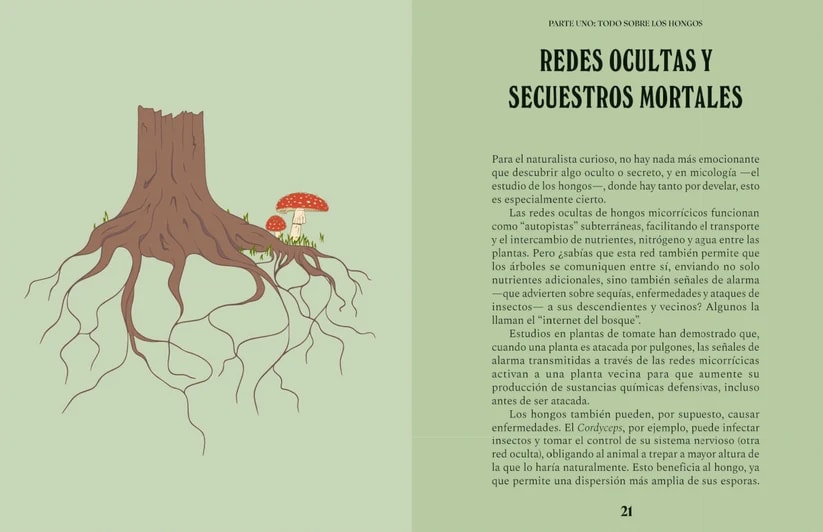 UNA GUÍA PARA CURIOSOS: HONGOS4