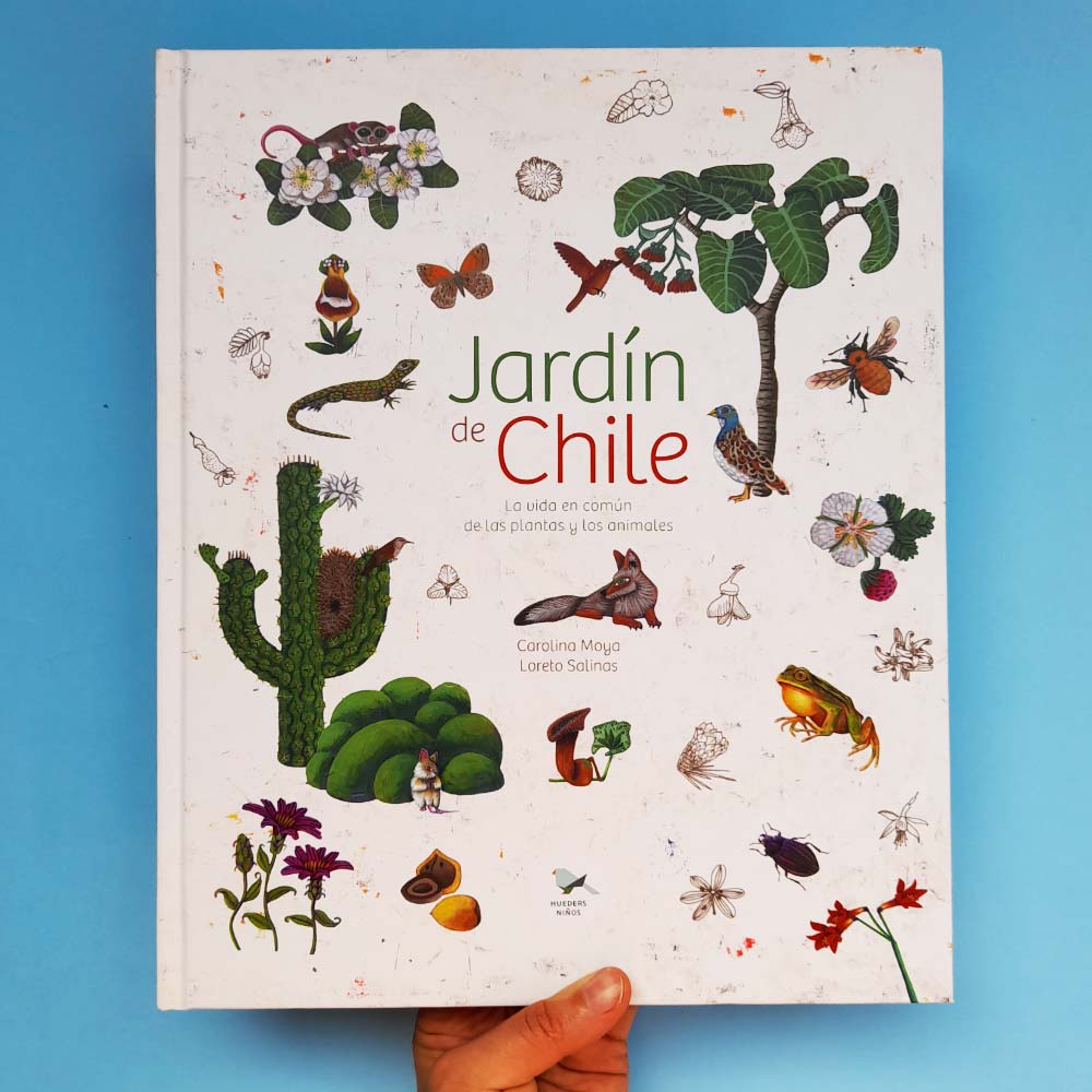 JARDÍN DE CHILE1
