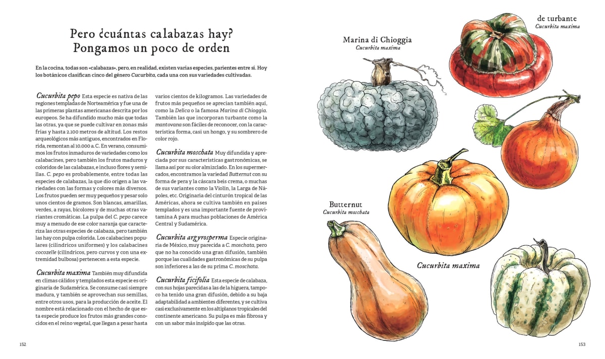 LA CIENCIA DE LAS VERDURAS3