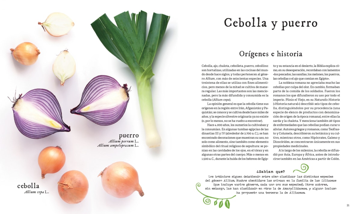 LA CIENCIA DE LAS VERDURAS4