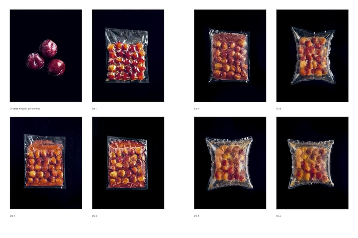 LA GUÍA DE FERMENTACIÓN DE NOMA3