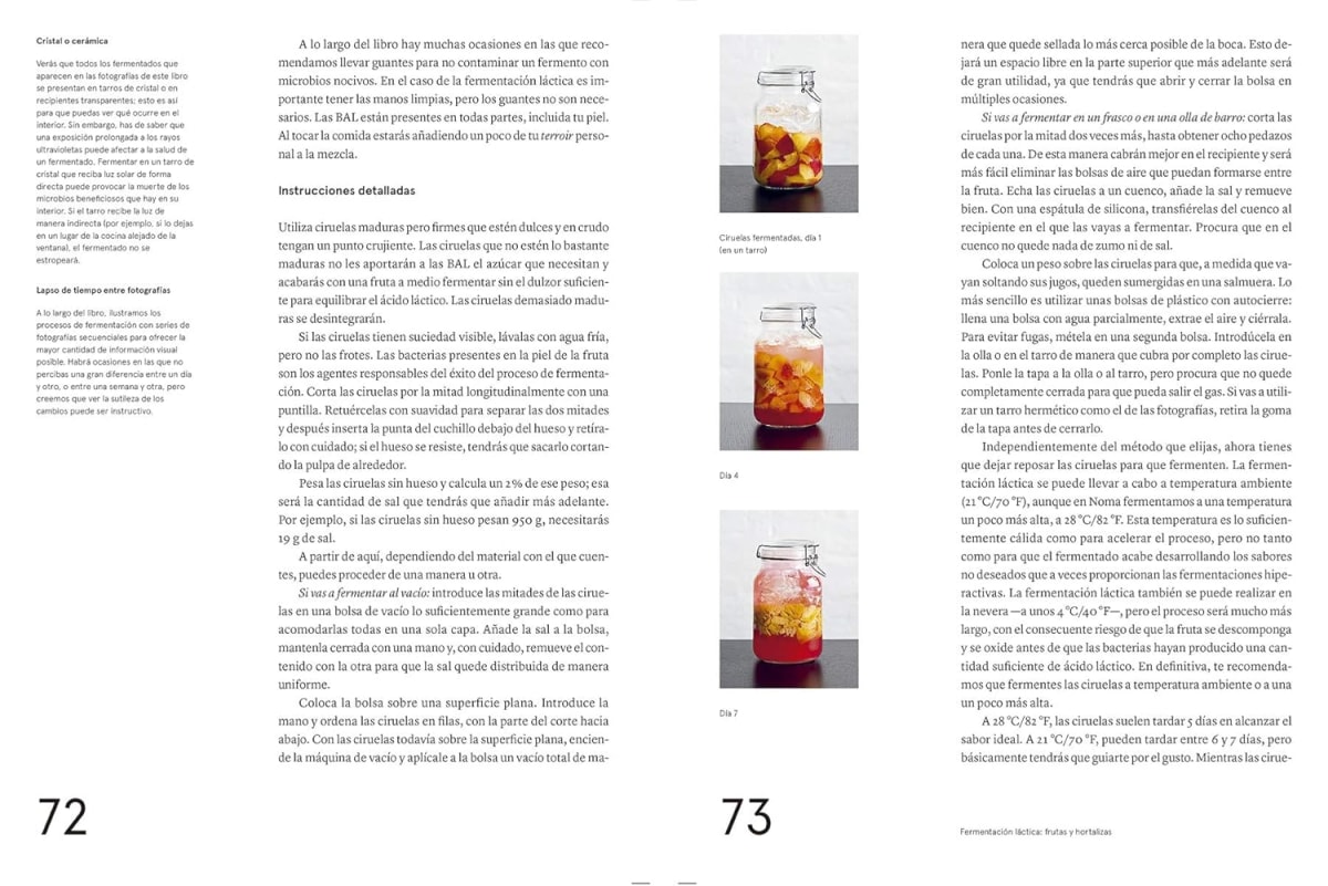 LA GUÍA DE FERMENTACIÓN DE NOMA4