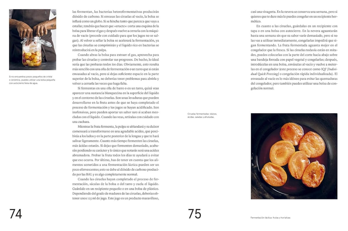 LA GUÍA DE FERMENTACIÓN DE NOMA5