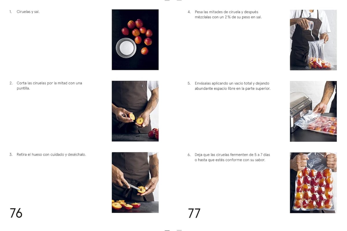 LA GUÍA DE FERMENTACIÓN DE NOMA6