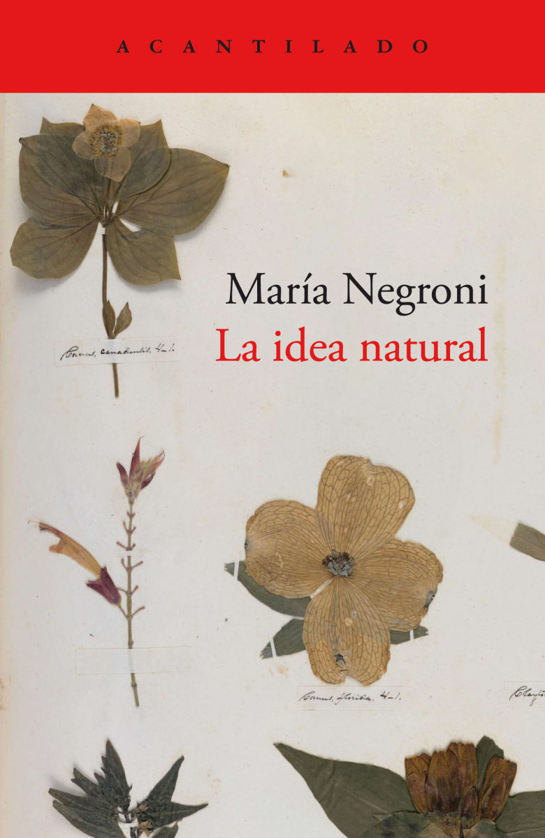 LA IDEA NATURAL1