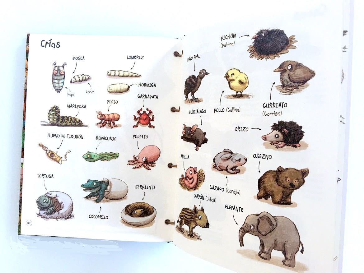 BICHOS, LA VIDA SECRETA DE LOS ANIMALES2