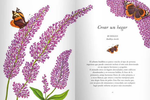 LA SABIDURÍA DE LAS FLORES4