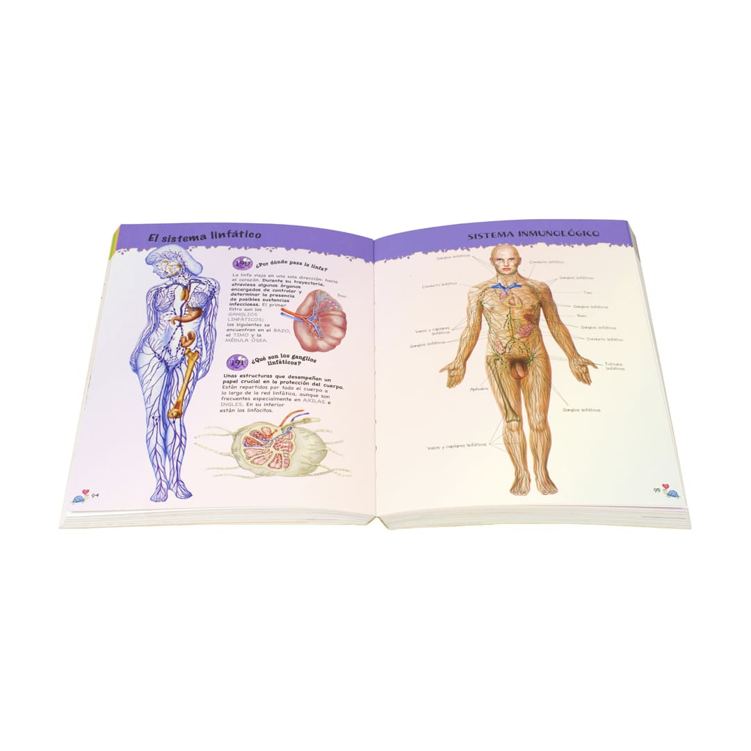 500 PREGUNTAS Y RESPUESTAS SOBRE EL CUERPO HUMANO2