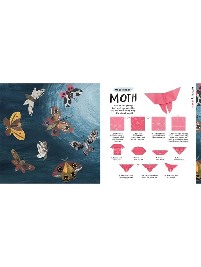 ORIGAMI DE LA NATURALEZA2