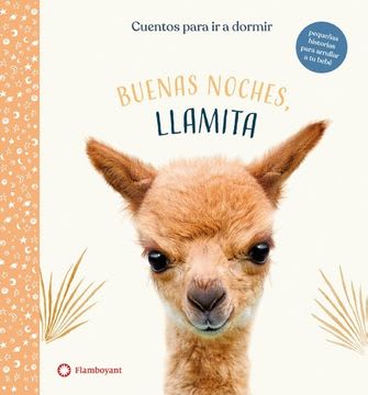 BUENAS NOCHES LLAMITA1