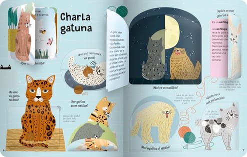 LOCOS POR LOS GATOS2