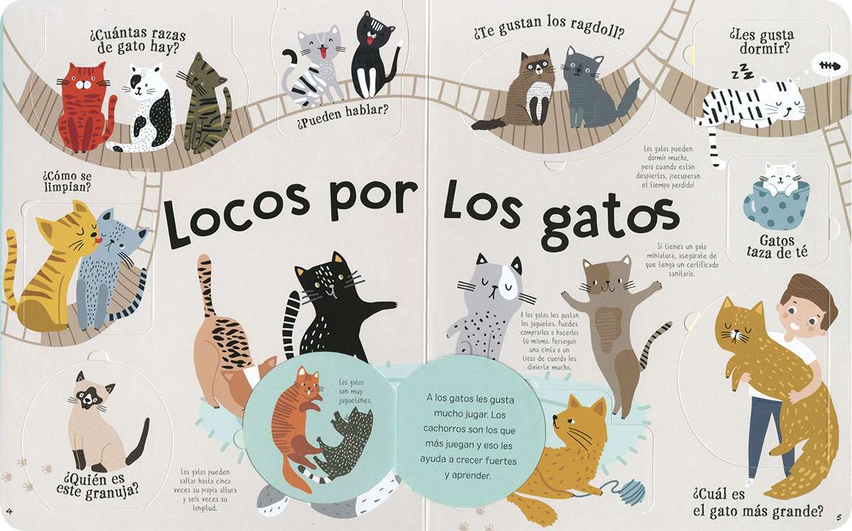 LOCOS POR LOS GATOS3