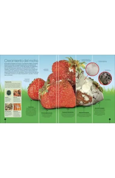 LOS CICLOS DE LA NATURALEZA4