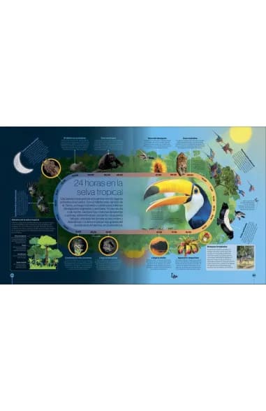 LOS CICLOS DE LA NATURALEZA2