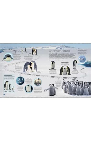 LOS CICLOS DE LA NATURALEZA5