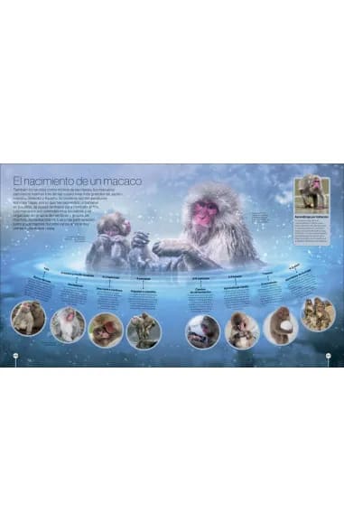 LOS CICLOS DE LA NATURALEZA3