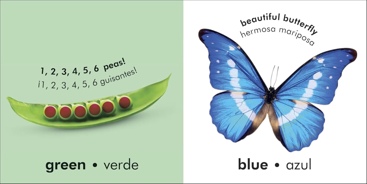 TOCA Y APRENDE: LOS COLORES2
