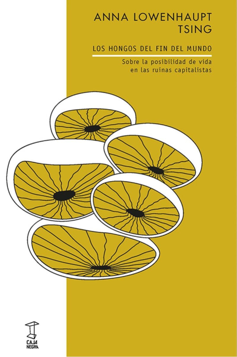 LOS HONGOS DEL FIN DEL MUNDO1