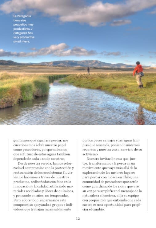 LOS MEJORES LUGARES PARA PESCAR CON MOSCA EN CHILE4