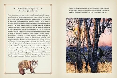 LA MAGIA DE LOS GATOS3