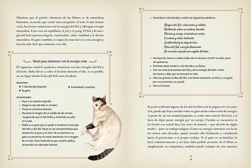 LA MAGIA DE LOS GATOS4