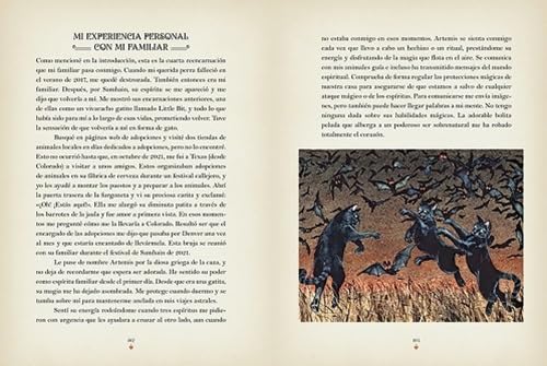 LA MAGIA DE LOS GATOS5