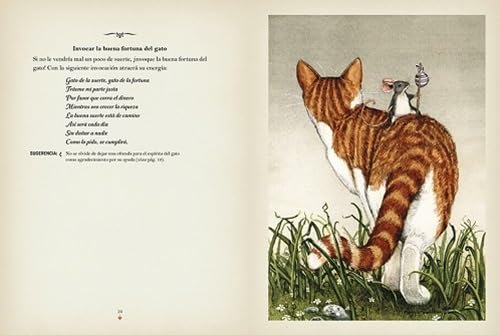 LA MAGIA DE LOS GATOS2