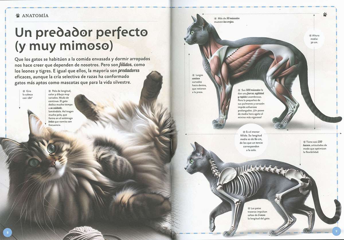 EL MAGNÍFICO LIBRO DE LOS GATOS2
