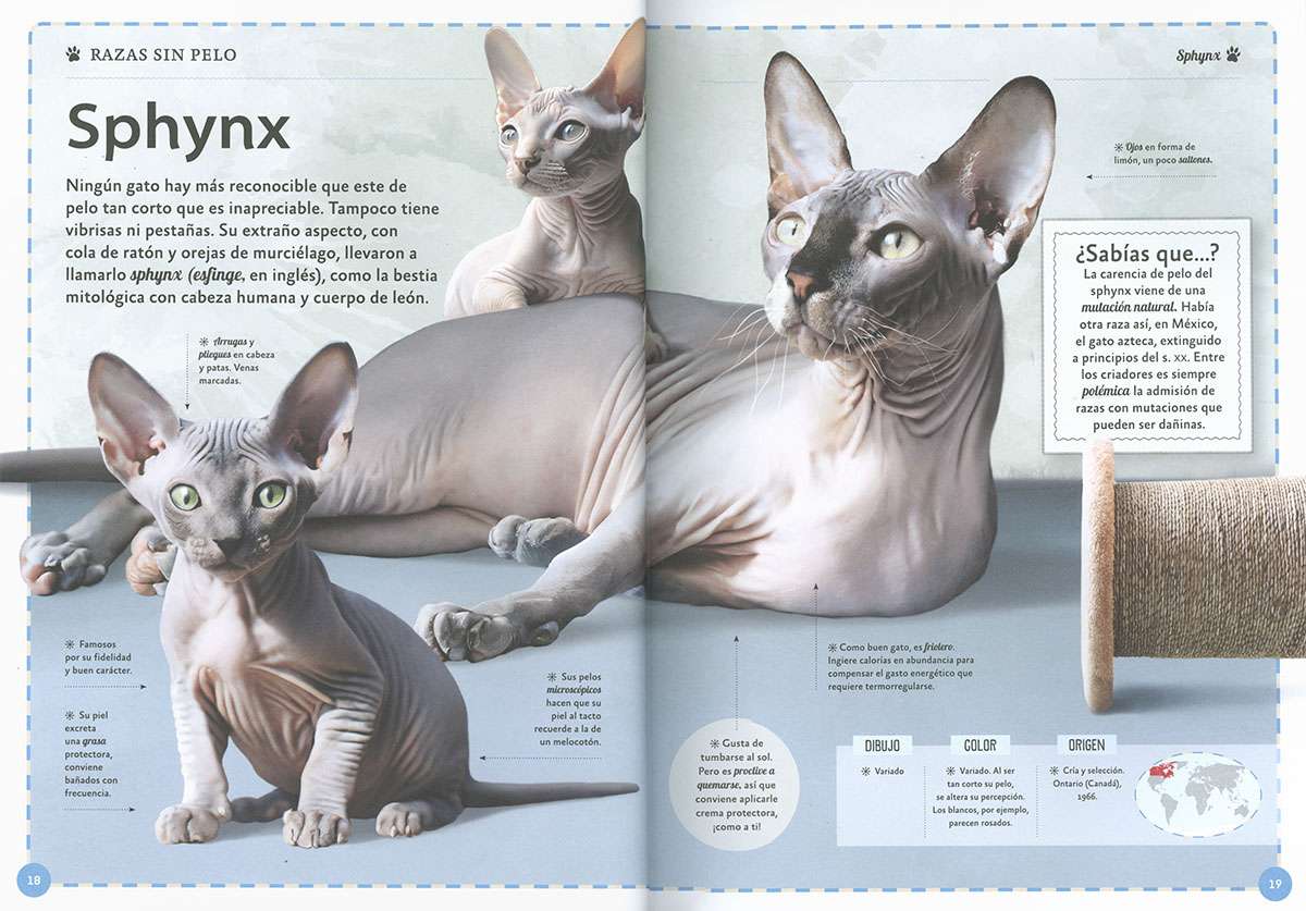 EL MAGNÍFICO LIBRO DE LOS GATOS3