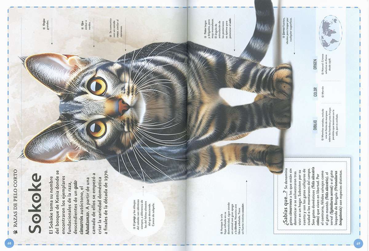 EL MAGNÍFICO LIBRO DE LOS GATOS4