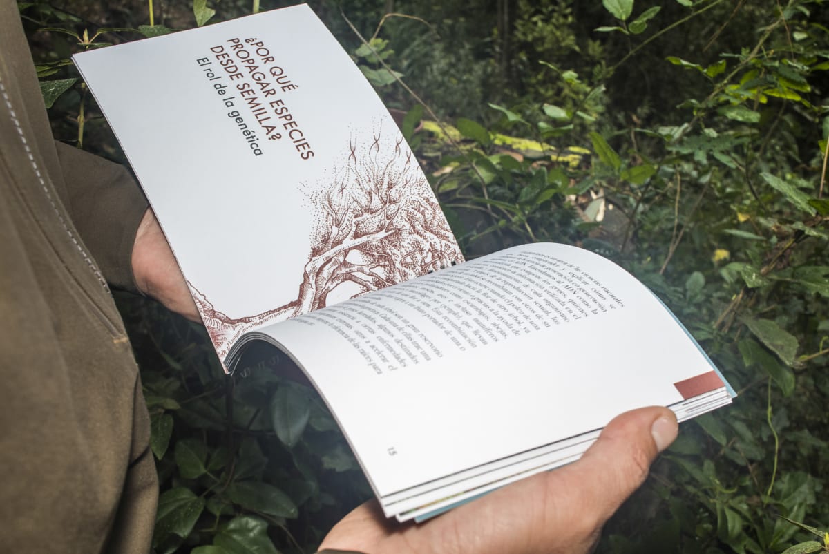 MANUAL DE PROPAGACIÓN DE ÁRBOLES NATIVOS, ZONA CENTRO SUR DE CHILE5