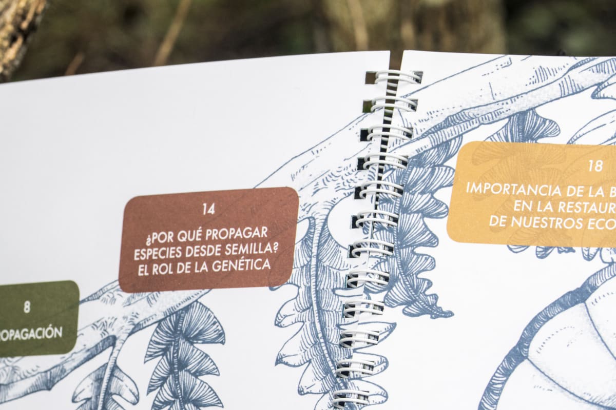 MANUAL DE PROPAGACIÓN DE ÁRBOLES NATIVOS, ZONA CENTRO SUR DE CHILE4