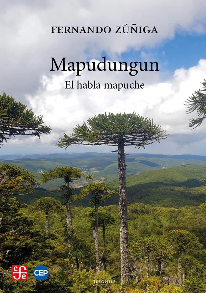 MAPUDUNGUN. EL HABLA MAPUCHE1