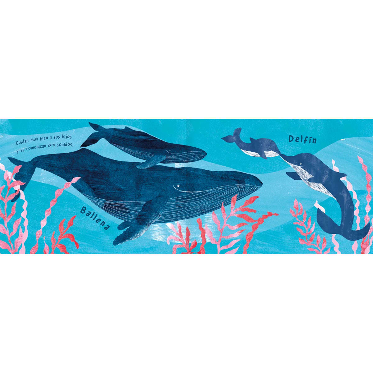 MAR ANIMAL2