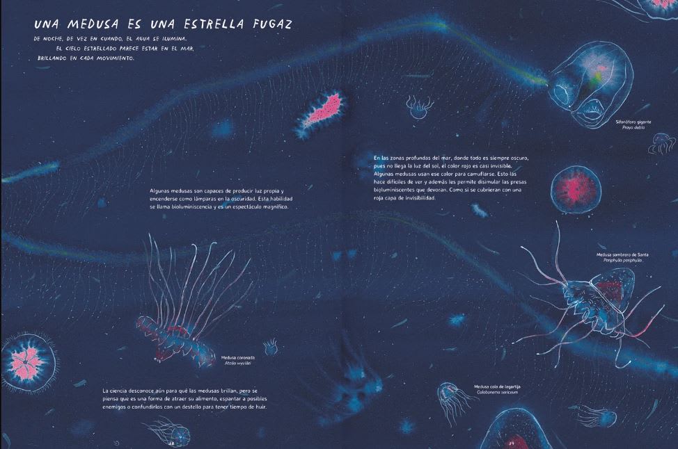 MISTERIOSAS MEDUSAS7