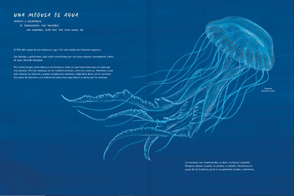 MISTERIOSAS MEDUSAS2