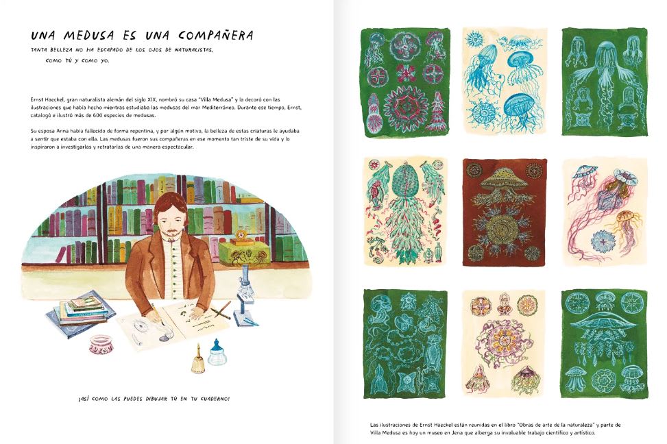 MISTERIOSAS MEDUSAS4