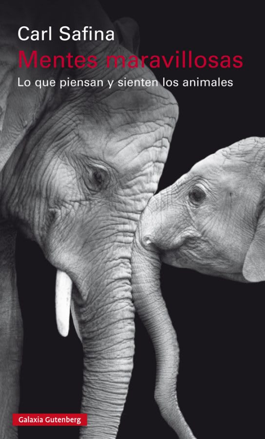 MENTES MARAVILLOSAS1