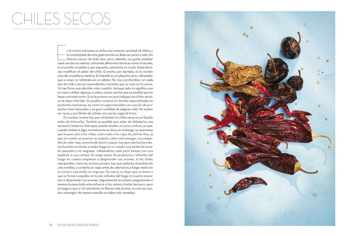 MI COCINA DE CIUDAD DE MÉXICO2