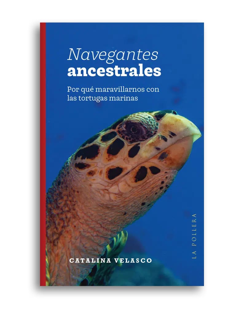 NAVEGANTES ANCESTRALES: ¿ POR QUÉ MARAVILLARNOS CON LAS TORTUGAS MARINAS?1