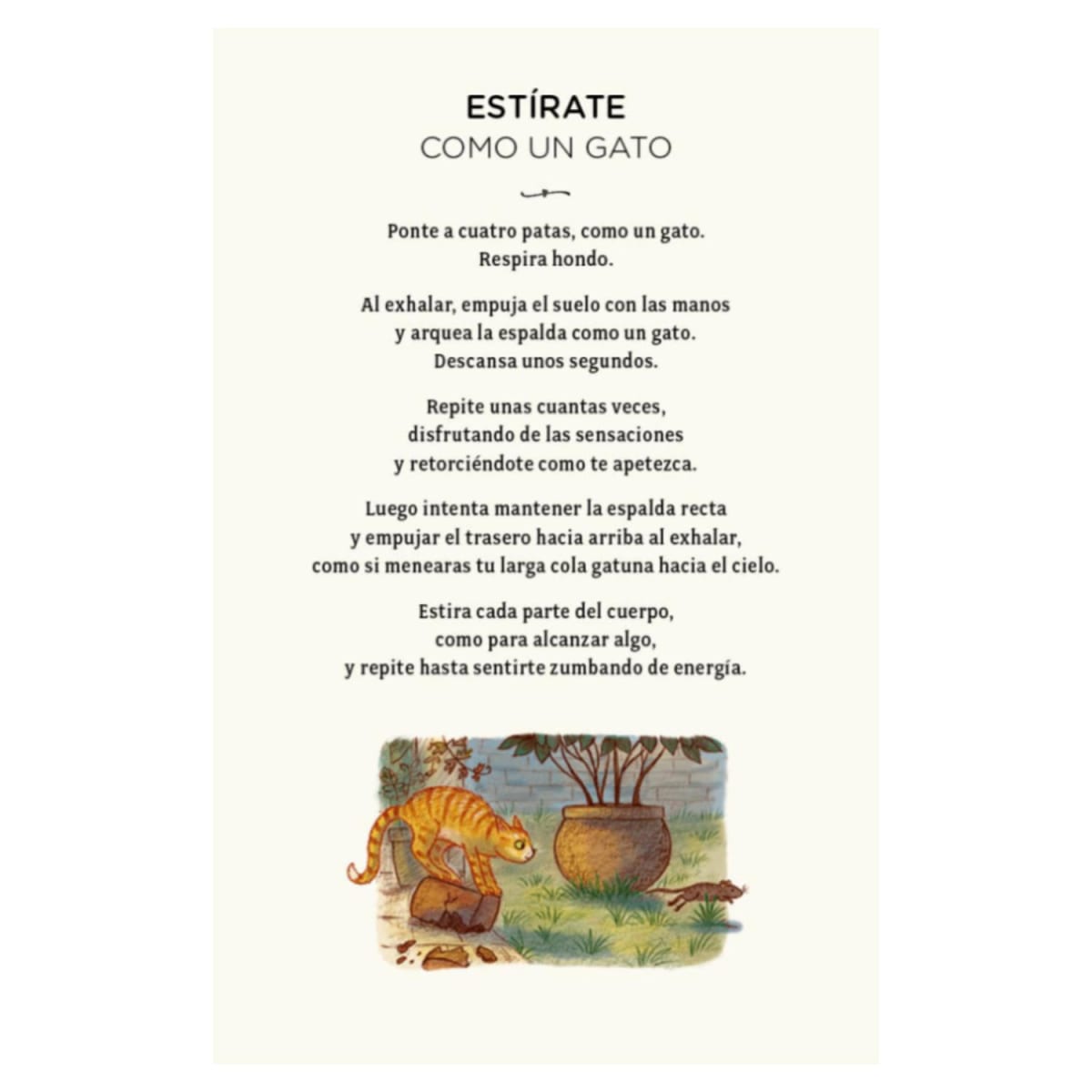 CON CALMA (CARTAS) : 30 ACTIVIDADES MINDFULNESS.4