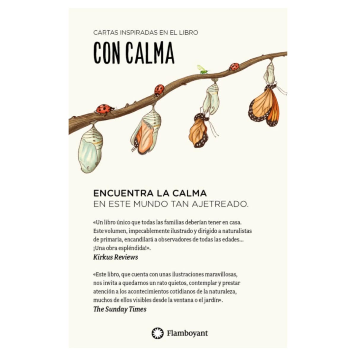 CON CALMA (CARTAS) : 30 ACTIVIDADES MINDFULNESS.7