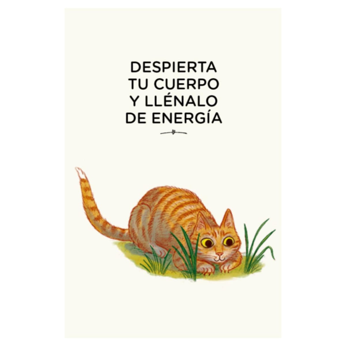 CON CALMA (CARTAS) : 30 ACTIVIDADES MINDFULNESS.3