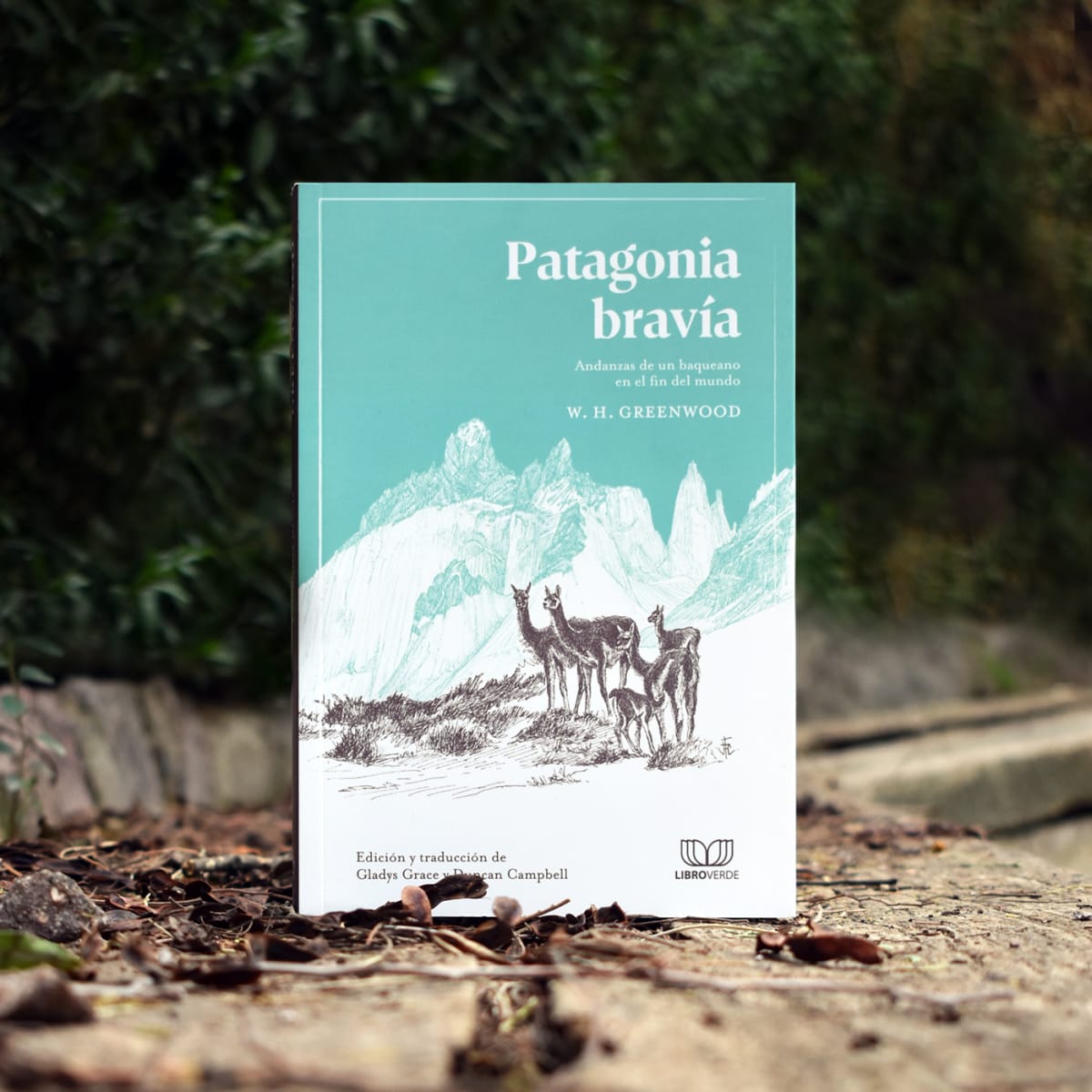 PATAGONIA BRAVÍA1