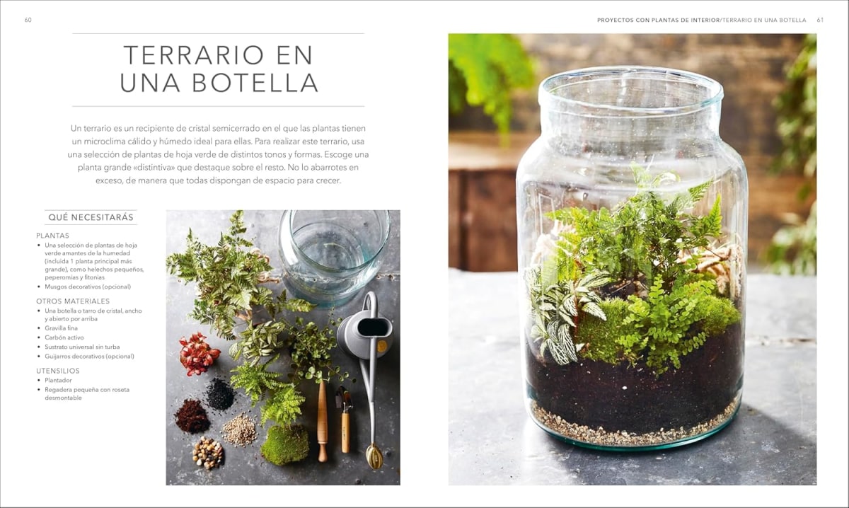 PLANTAS DE INTERIOR3